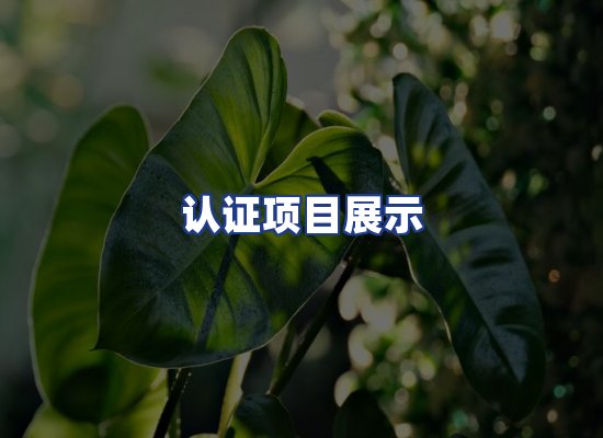 认证项目展示